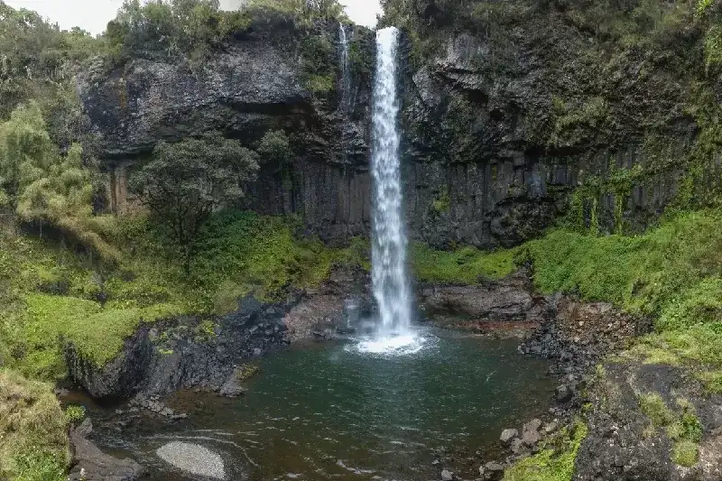 Best Kenya Wildlife Tour